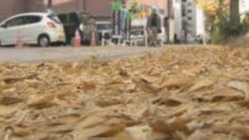 2日はポカポカ陽気から一転…最高17℃の暖かさも夜には雷雨　3日は真冬並みの寒さへ、激しい寒暖差に注意【雨と雪のシミュレーション】