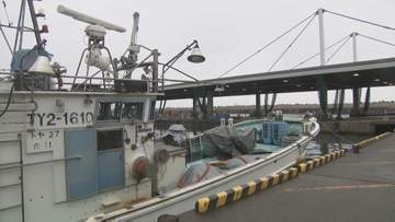 富山湾の宝石「シロエビ」　悪天候で初水揚げ見送り　地震の影響で不漁続きも飲食店は豊漁に期待　富山・射水市