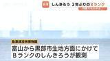 「富山湾に2年ぶりのBランク蜃気楼が出現！新湊大橋が伸び縮みする神秘的現象を観測、愛好家も感動」の画像1