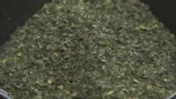 抹茶1缶3888円も？抹茶ブームで「購入制限」お茶専門店の藤岡園に聞く価格高騰の現状　富山