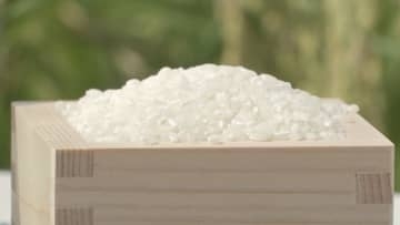 備蓄米放出の効果はどこへ…”令和のコメ騒動”いまだに続く　高市内閣の秘策「おこめ券」に街の声は　富山