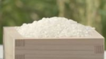 備蓄米放出の効果はどこへ…”令和のコメ騒動”いまだに続く　高市内閣の秘策「おこめ券」に街の声は　富山