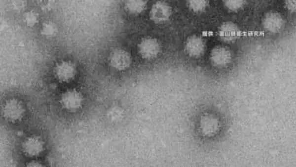 カキグラタンで食中毒　男女9人が下痢や腹痛　患者からノロウイルス検出　富山