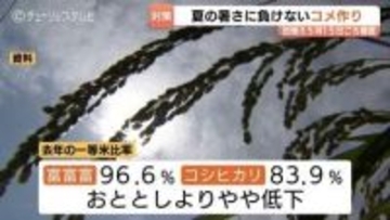 富山県が米の高温対策を確認…一等米比率向上へ「富富富」3割目標、中干し徹底呼びかけ　石川・福井で発生の「イネカメムシ」侵入にも厳戒態勢