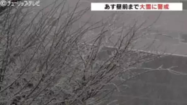 3日昼前にかけて大雪の恐れ 強い冬型の気圧配置の影響 交通障害に注意を 富山