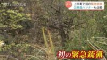 子グマ出没！公務員ハンター出動…初動対応1時間で “スピード確保” に貢献　冬眠前の行動活発化に警戒続く　富山・上市町