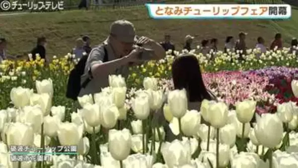 2026となみチューリップフェア開幕…350万本の絶景に感動！大花壇の地上絵など見どころいっぱいの春満喫　富山・砺波市