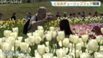 2026となみチューリップフェア開幕…350万本の絶景に感動！大花壇の地上絵など見どころいっぱいの春満喫　富山・砺波市