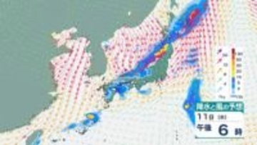 【大雨情報】東北日本海側北部　多いところで1時間に20mmの降雨予想　11日朝から夜遅くにかけて土砂災害に警戒を　【雨風シミュレーション】