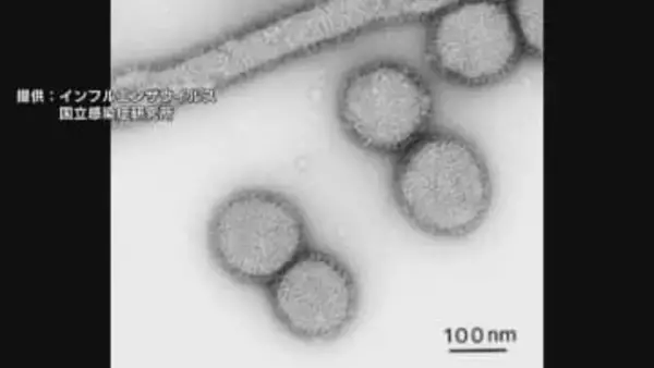 【インフルエンザ】1定点医療機関あたりの患者数は6.64人…年末年始の休診で過小評価の可能性も　地域別では新川が最多16.00人　富山
