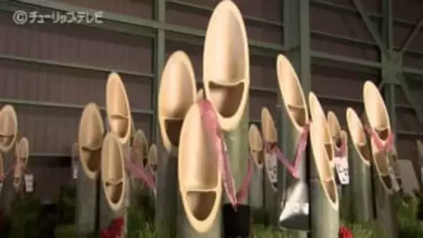 「幸せな気持ちで1年の最初をきれるように」正月の縁起物、門松づくりがピーク　22日から県内200の企業・商店などに出荷　富山