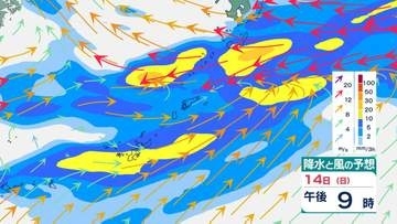 沖縄本島地方　1時間に最大30mm降雨予想　15日にかけ“警報級”大雨のおそれ　梅雨前線の影響【雨風のシミュレーション】
