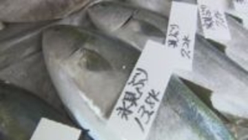 丸々一本買いまで…県内外からその味求め”ブリの聖地”氷見に　「ひみ寒ぶり宣言」待ち望む声　富山