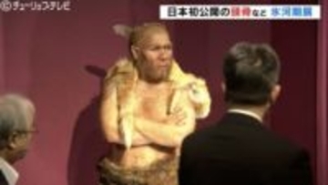 「氷河期展」4万年前の世界を知る実物のネアンデルタールの頭骨展示など富山県民会館で始まる