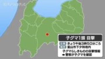 富山市郊外でまた子グマ1頭　警察が本体目撃も山へ　今後パトロールを強化