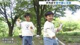 「新緑の中、穏やかな休日を楽しむ過ごしやすい天気に 午後からはにわか雨や落雷に注意 富山」の画像1