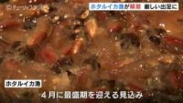 富山湾の神秘 ホタルイカ漁が解禁　過去最高の浜値を記録　網には大量のイワシ　富山・滑川