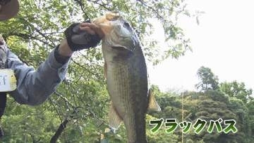 高岡古城公園で外来種の捕獲会　“釣って”生態系を守る　2時間で計42匹捕獲　2年前“目撃情報”アリゲーターガー捕獲できず　富山
