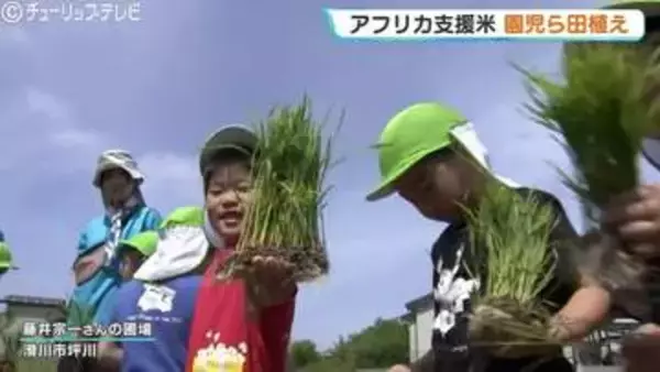 「いつの間にか、ここもここも…」食育を兼ねた国際協力　アフリカ・マリ共和国の子どもたちを救う支援米の田植え　富山・滑川市