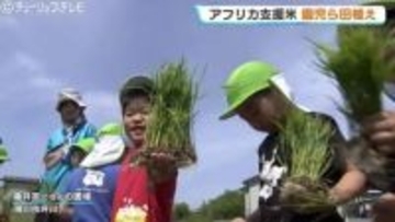 「いつの間にか、ここもここも…」食育を兼ねた国際協力　アフリカ・マリ共和国の子どもたちを救う支援米の田植え　富山・滑川市