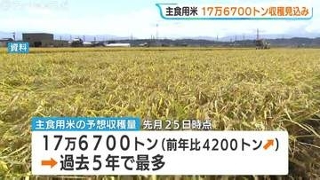 富山県内のコメ収穫量　前年より4200t多い17万6700トン見込み　過去5年間で最多