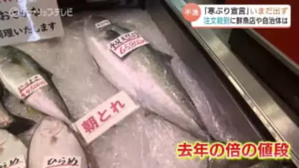 「毎日揃えられるか心配」　氷見のブリ記録的不漁でも全国からの注文殺到　8キロ6万5800円で例年の2倍　富山・氷見市