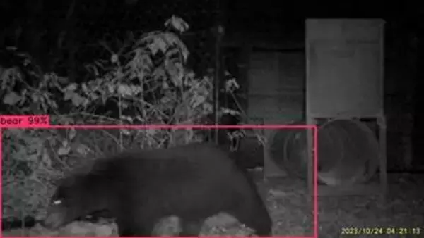 クマをAIで自動検出！北陸電力が初社内ベンチャー「北電VISION」7月に設立へ　画像認識で害獣対応の迅速化目指す　富山