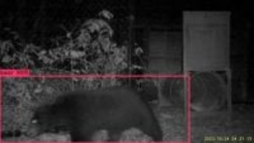 クマをAIで自動検出！北陸電力が初社内ベンチャー「北電VISION」7月に設立へ　画像認識で害獣対応の迅速化目指す　富山