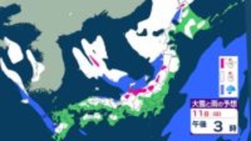 【大雪情報】関東甲信でも大雪に警戒 北日本と東日本で大雪や猛ふぶき 最大降雪量80cm 交通障害に注意・警戒  【大雪と雨のシミュレーション】