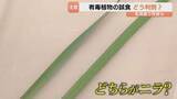 「「本当にそっくり」それはニラ？ スイセン？ 誤食による食中毒のリスク 富山県内でも被害 専門家に聞く判別の仕方」の画像1
