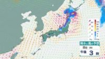 【大雨情報】東北地方は竜巻などの激しい突風や落雷、ひょう、急な強い雨に注意【雨風シミュレーション】