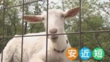 最大12連休のGW！物価高と円安が直撃…旅行会社は苦戦　“安近短”のキャンプ場は予約満杯に　富山