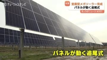 北陸初の営農型メガソーラー完成 ブランド米「富富富」を育てながら二酸化炭素 年間740トン削減へ 追尾式を採用  富山・氷見市