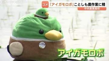【富山】壁にぶつかっても健気 優秀すぎる！中央農業高の救世主「アイガモロボ」が始動 無休の除草作業へ