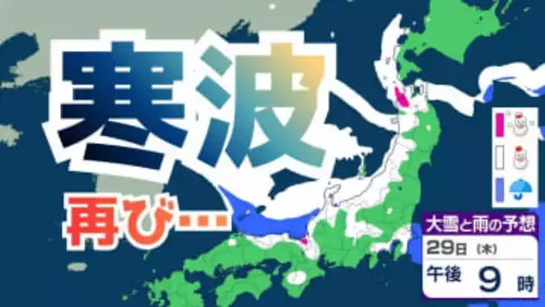 【週間予報】29日（木）から再び強い冬型の気圧配置へ　日本海側は再び “警報級大雪” の可能性も…31日（土）は緩むも2月1日（日）は雨や雪へ【雪と雨のシミュレーション】
