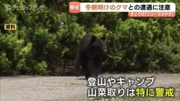 ＧＷはクマに注意　冬眠明けのクマが活発化　早朝・夕方は特に危険　富山
