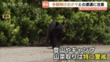 ＧＷはクマに注意　冬眠明けのクマが活発化　早朝・夕方は特に危険　富山