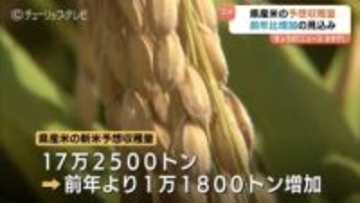 富山県産の新米予想収穫量　前年より1万1800トン増加の見込み