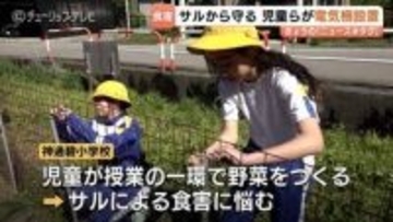 富山市・神通碧小学校でサルの食害対策　児童が自ら電気柵を設置、ねいの里の指導で「守る農業」を学ぶ　ソーラーパネル活用で持続可能な農園づくりへ