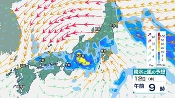 【台風15号】12日昼過ぎに熱帯低気圧化へ 関東甲信で12日夜遅くまで大気不安定 関東北部・南部で120ミリの雨予想【雨と風のシミュレーション】