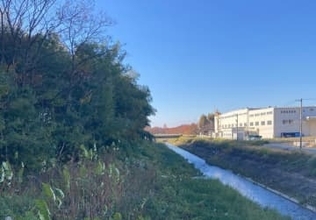 緊急銃猟で計3発…体長70センチの子グマ1頭を駆除、人身被害なし　滑川市本江で目撃情報　富山・滑川市