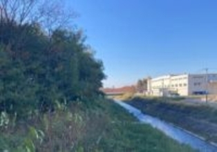 緊急銃猟で計3発…体長70センチの子グマ1頭を駆除、人身被害なし　滑川市本江で目撃情報　富山・滑川市