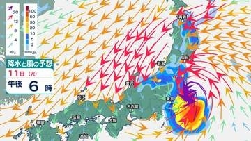 【台風情報】台風15号（チャンホン）関東上陸へ11日夜にも…やや発達して980hPa予想、本州横断して最大瞬間風速35mの強風に警戒【雨と風のシミュレーション】