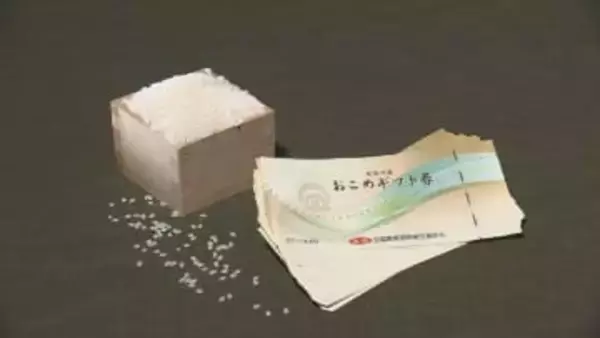 県内半数の自治体がおこめ券見送り　「ニーズないのでは」”コメどころ”富山の自治体は疑問呈す　プレミアム商品券活用の例も