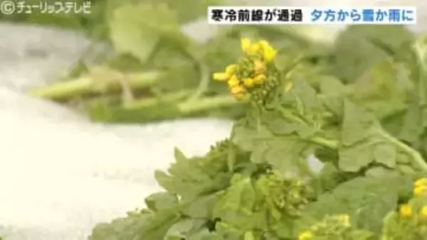 富山県内夕方から雪も　日中晴れるも次第に曇り空広がる　あす朝までに平野部最大5センチ