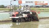「田植えの最盛期到来！青空の下で進む「コシヒカリ」苗植え　猛暑対策で“5月15日”がピーク　20日ごろ完了へ　富山」の画像1
