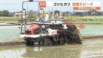 田植えの最盛期到来！青空の下で進む「コシヒカリ」苗植え　猛暑対策で“5月15日”がピーク　20日ごろ完了へ　富山