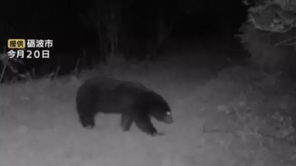 クマ出没が急増！すでに20件出没　山菜採りシーズン前に対策会議　ヘルメット着用や鈴携行など冬眠明け“春グマ”に厳重警戒　富山