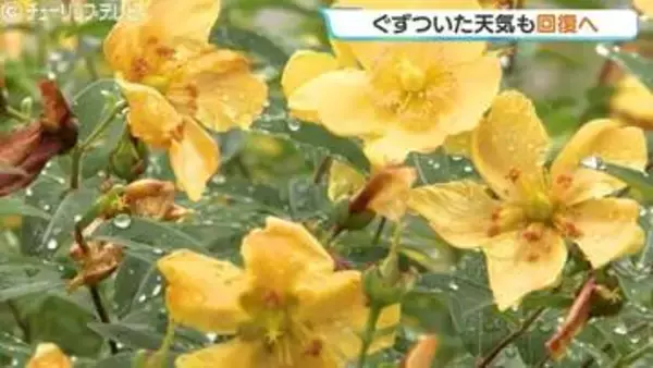 【富山】天気は午後から回復へ 日中の予想最高気温は21℃「過ごしやすい一日」に