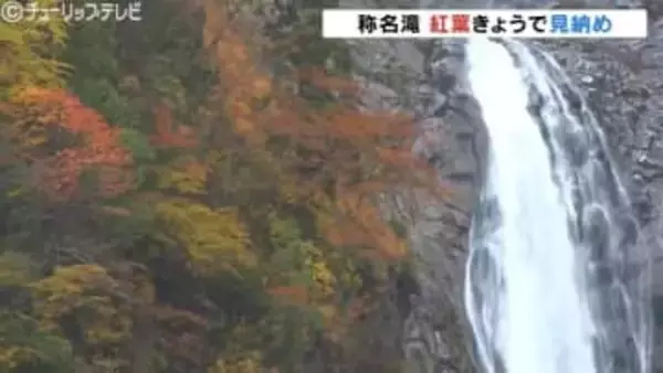 落差日本一の称名滝 “さわやか” な水しぶき、紅葉と白滝のコントラストも…今シーズンきょうで見納め　富山・立山町